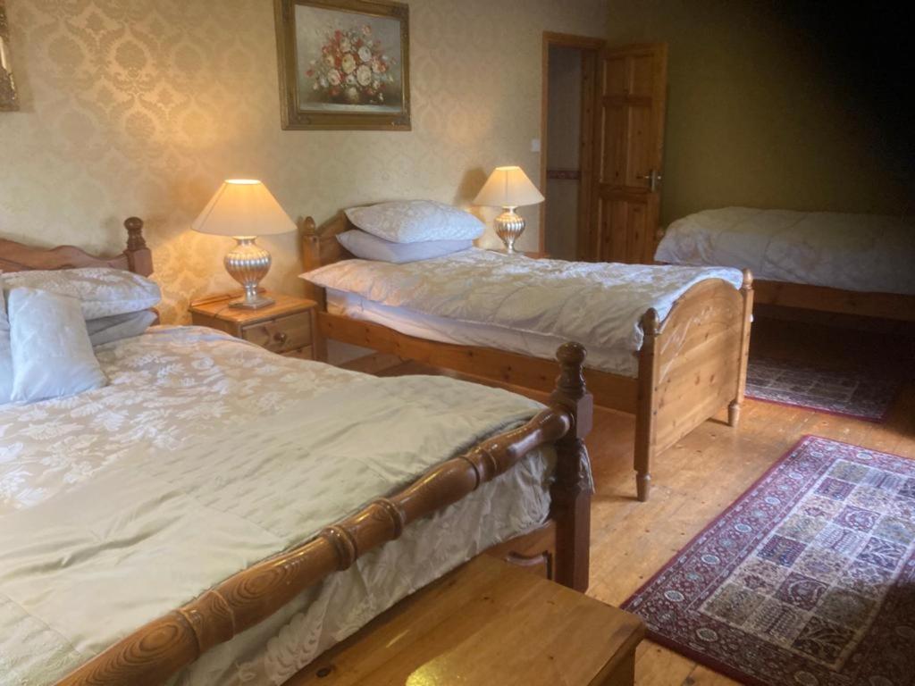 Evergreen Bed&Breakfast Swords Buitenkant foto